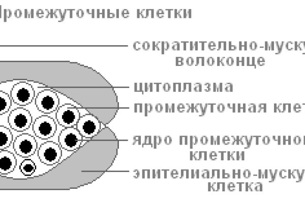 Ссылка на mega для tor