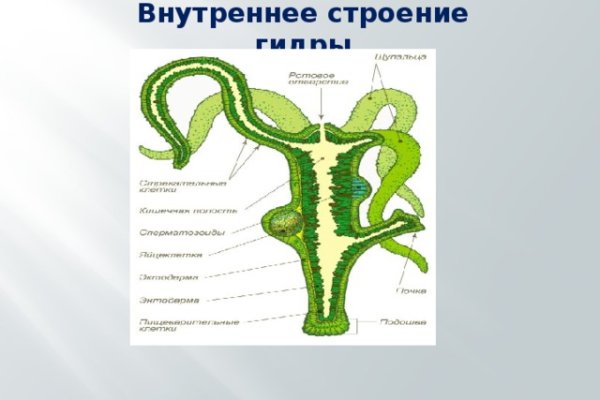 Kraken ссылка для тору