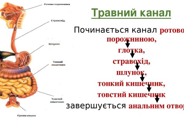 Как пользоваться сайтом мега